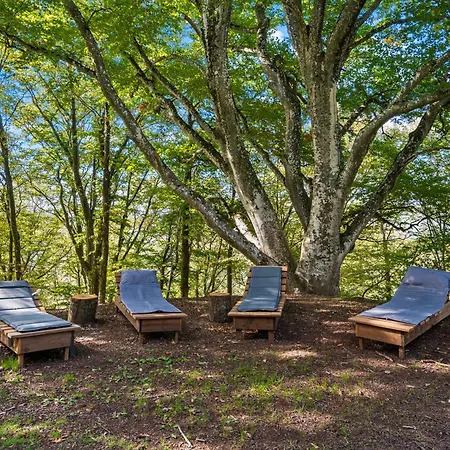 Se Ressourcer En Foret シャレー
