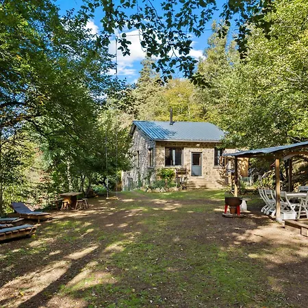 Se Ressourcer En Foret * イズロン