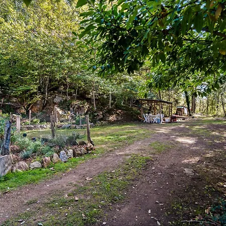 シャレー Se Ressourcer En Foret イズロン